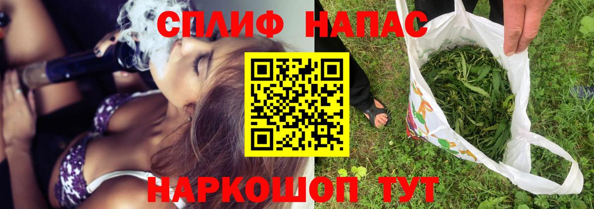 Бошки марихуана сатива Кириши